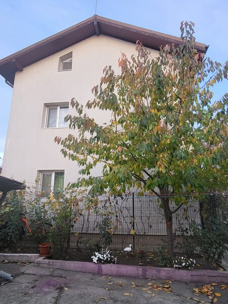 Colentina, Andronache, Bucuresti.